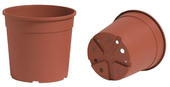 Vazonėlis Nicoli container IME rudas kaina ir informacija | Vazonėliai daiginimui ir persodinimui | pigu.lt