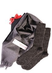 Подарочный комплект из шерстяных носков серого цвета и шарфа из шерсти альпака для мужчин и женщин ALPACA цена и информация | Мужские носки | pigu.lt