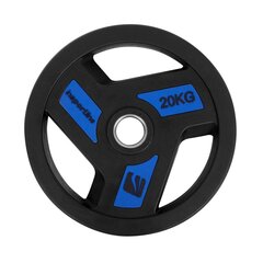 Svorių rinkinys inSPORTline Herk 2x1,25–25kg, 50mm цена и информация | Гантели, гири, штанги | pigu.lt