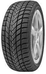 Delinte WD6 245/45R18 100 V kaina ir informacija | Žieminės padangos | pigu.lt