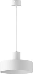 Подвесной светильник RIF 30902 цена и информация | Люстры | pigu.lt