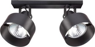 Потолочный светильник RIF 31196 цена и информация | Потолочные светильники | pigu.lt