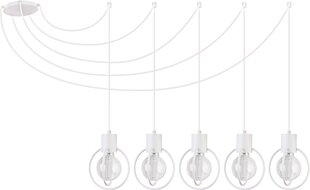 Pakabinamas šviestuvas Aura 31097 kaina ir informacija | Pakabinami šviestuvai | pigu.lt
