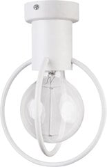 Потолочный светильник AURA 31102 цена и информация | Потолочные светильники | pigu.lt