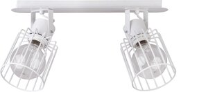 Потолочный светильник LUTO 31147 цена и информация | Люстры | pigu.lt