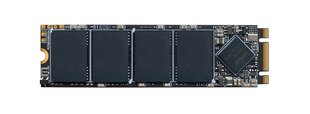 Lexar LNM100 512 GB, SSD M.2 2280, SATA III цена и информация | Lexar Компьютерная техника | pigu.lt