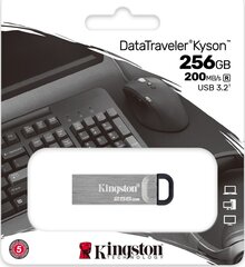 Kingston Kyson 256GB USB 3.2 цена и информация | USB накопители | pigu.lt