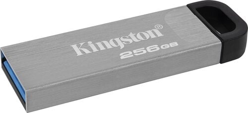 Atmintinė Kingston DTKN/256GB kaina ir informacija | USB laikmenos | pigu.lt