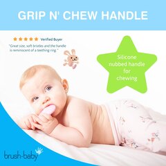 Dantų šepetėlis BrushBaby 0-3 m., kramtomu galu, 1 vnt. цена и информация | Зубные щетки, пасты | pigu.lt