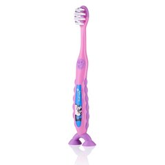 Dantų šepetėlis Brush Baby Flossbrush цена и информация | Зубные щетки, пасты | pigu.lt