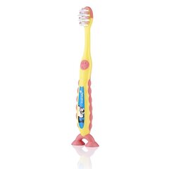 Dantų šepetėlis Brush Baby Flossbrush цена и информация | Зубные щетки, пасты | pigu.lt