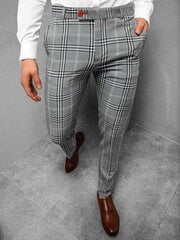 Мужские серые брюки Alono цена и информация | Мужские брюки FINIS | pigu.lt