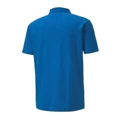 Поло футболка для мужчин Puma teamGoal 23 656579-02 цена и информация | Мужские футболки | pigu.lt