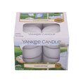 Kvapiosios arbatinės žvakės Yankee Candle Clean Cotton 9,8 g, 12 vnt.