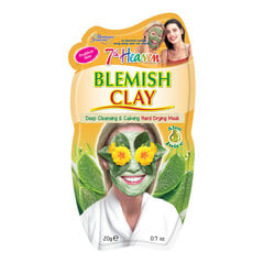 Veido kaukė kovojanti su odos trūkumais 7th Heaven Blemish Clay, 20 g kaina ir informacija | Veido kaukės, paakių kaukės | pigu.lt