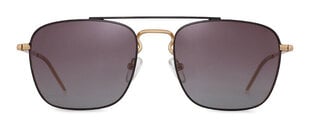 Солнцезащитные очки Label 1268 Polarized цена и информация | Солнцезащитные очки для мужчин | pigu.lt