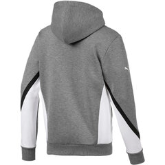 Laisvalaikio bliuzonas vyrams Puma BMW MMS Hooded Sweat Jacket Medium 59518903, pilkas kaina ir informacija | Džemperiai vyrams | pigu.lt