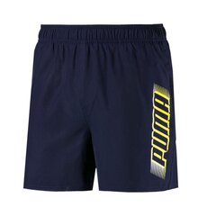 Laisvalaikio šortai vyrams Puma ESS+ Summer Shorts 84372706, mėlyni цена и информация | Мужские шорты | pigu.lt