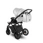 Universalus 3in1 vežimėlis Camarelo Zeo Eco, ZEOECO-07 kaina ir informacija | Vežimėliai | pigu.lt