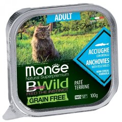 Monge BWild Cat Grain Free Adult keptas paštetas katėms su Lašiša ir Daržovėmis 100g kaina ir informacija | Konservai katėms | pigu.lt