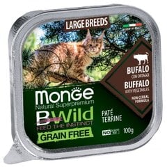 Жареный паштет для кошек с буйволом и овощами Monge BWild Cat Grain Free All Large Breeds 100g цена и информация | Консервы для кошек | pigu.lt