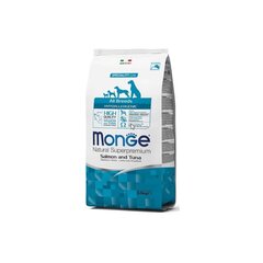 Monge Spec.. Сухой корм Line Hypoallergenic Adult с лососем и тунцом для взрослых собак всех пород 2,5 кг цена и информация |  Сухой корм для собак | pigu.lt