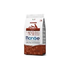 Monge Spec.. Сухой корм Line с бараниной, рисом и картофелем для взрослых собак всех пород 2,5 кг цена и информация |  Сухой корм для собак | pigu.lt