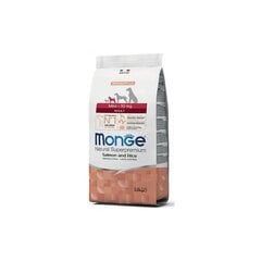 Monge Spec-Line visavertis ėdalas suaugusiems mažų veislių šunims su Lašiša ir Ryžiais 2,5kg kaina ir informacija | Sausas maistas šunims | pigu.lt