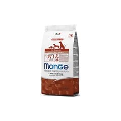 Monge Spec. Линия для щенков всех пород с бараниной и рисом 2,5 кг цена и информация |  Сухой корм для собак | pigu.lt