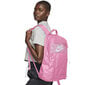 Kuprinė Nike Elemental 2.0, 22 l, rožinė kaina ir informacija | Kuprinės ir krepšiai | pigu.lt