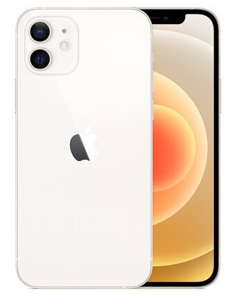 Apple iPhone 12 256GB White MGJH3ET/A цена и информация | Mobilieji telefonai | pigu.lt