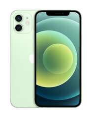 Apple iPhone 12 256GB Green MGJL3ET/A kaina ir informacija | Mobilieji telefonai | pigu.lt