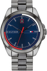 Tommy Hilfiger мужские часы Riley 1791687, серые цена и информация | Мужские часы | pigu.lt