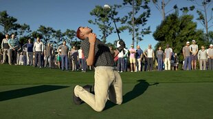 PGA Tour 2K21 (Switch) цена и информация | Компьютерные игры | pigu.lt