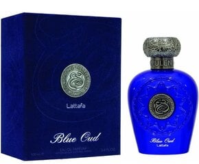 Мужские духи Blue Oud By Lattafa, 100 мл цена и информация | Мужские духи | pigu.lt