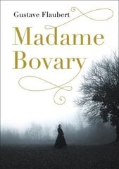 Madame Bovary kaina ir informacija | Klasika | pigu.lt