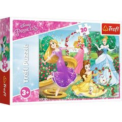 Dėlionė Trefl Disnėjaus Princesės (Disney Princess), 30 d. kaina ir informacija | Dėlionės (puzzle) | pigu.lt