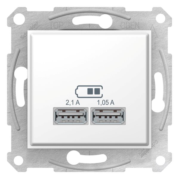 Dvigubas USB įkrovimo lizdas Schneider Electric Sedna kaina | pigu.lt