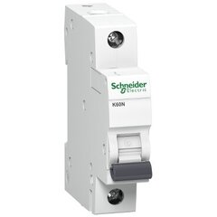 Modulinis automatinis jungiklis Schneider Electric Acti9 K60N, 1P 40A C 6kA цена и информация | Выключатели, розетки | pigu.lt