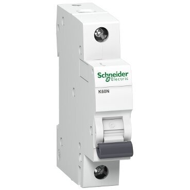 Modulinis automatinis jungiklis Schneider Electric Acti9 K60N, 1P 40A C 6kA цена и информация | Elektros jungikliai, rozetės | pigu.lt