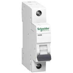 Modulinis automatinis jungiklis Schneider Electric Acti9 K60N, 1P 32A C 6kA цена и информация | Выключатели, розетки | pigu.lt