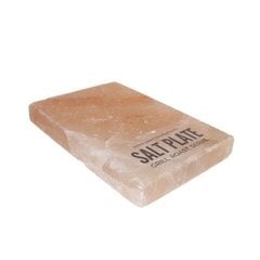 XL dydžio druskos plokštė Salt'sUp, 20 x 30 x 5 cm цена и информация | Специи, наборы специй | pigu.lt