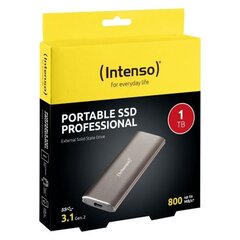 Intenso 3825460 1 TB SSD kaina ir informacija | Išoriniai kietieji diskai (SSD, HDD) | pigu.lt