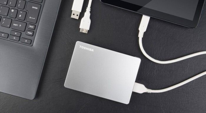 Toshiba HDTX110ESCAA kaina ir informacija | Išoriniai kietieji diskai (SSD, HDD) | pigu.lt