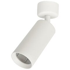 Milagro потолочный светильник Mica White цена и информация | Потолочные светильники | pigu.lt