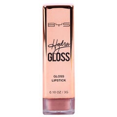 BYS Губная помада Hydra Gloss Serum DREAMY цена и информация | Помады, бальзамы, блеск для губ | pigu.lt