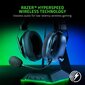 Razer BlackShark V2 Pro RZ04-03220100-R3M1 Black цена и информация | Ausinės | pigu.lt