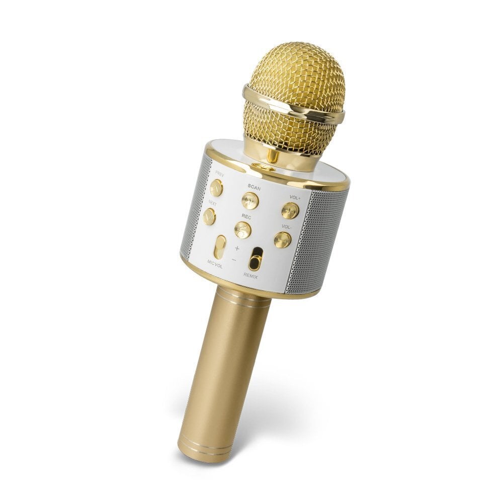 Mikrofonas Forever BMS-300, auksinis цена и информация | Mikrofonai | pigu.lt