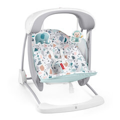 Sūpynės-gultukas Fisher Price® Deluxe Take-Along kaina ir informacija | Gultukai ir sūpynės | pigu.lt