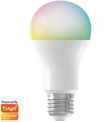 Светодиодная лампочка Denver Electronics 118141000000 9W цена и информация | Электрические лампы | pigu.lt